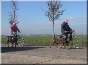 Henry Beuks met naast de fiets Andor van Fulco's Proosdij tijdens een UV examen op 19-10-2003 bij de boxerkringgroep Wognum